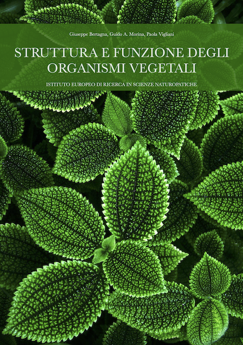 struttura e funzione degli organismi vegetali